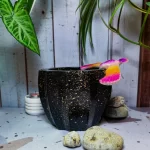 Maceta Zucca Negra de concreto con forma de calabaza y 12 puntas, acabado jaspeado, en ambiente interior moderno con planta.