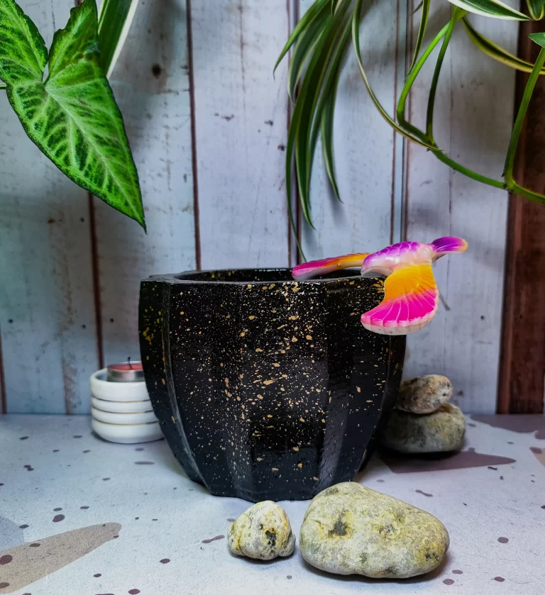 Maceta Zucca Negra de concreto con forma de calabaza y 12 puntas, acabado jaspeado, en ambiente interior moderno con planta.
