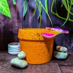 Maceta Classic Naranja Mediana