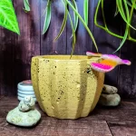 Maceta Zucca Amarilla de concreto con forma de calabaza y 12 puntas, acabado jaspeado, en ambiente interior moderno con planta.