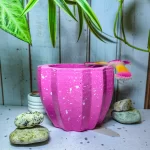 Maceta Zucca Fucsia de concreto con forma de calabaza y 12 puntas, acabado jaspeado, en ambiente interior moderno con planta.